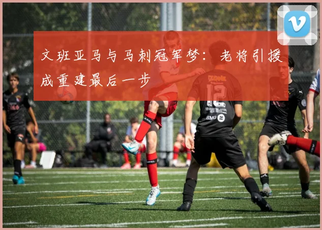 文班亚马与马刺冠军梦：老将引援成重建最后一步